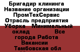 Бригадир клининга › Название организации ­ ПромТехСервис › Отрасль предприятия ­ Уборка › Минимальный оклад ­ 30 000 - Все города Работа » Вакансии   . Тамбовская обл.,Моршанск г.